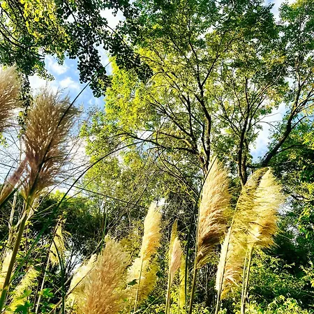 La Maison Sycomorette منزل للإقامة