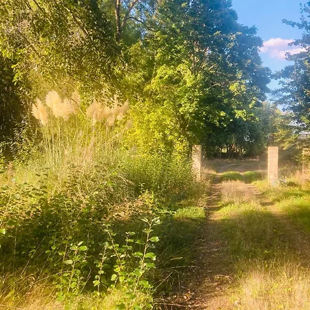 La Maison Sycomorette