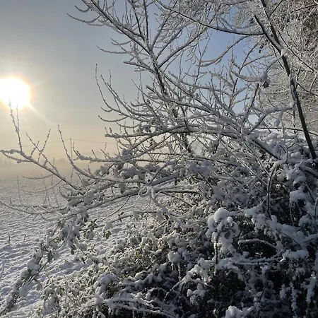 La Maison Sycomorette منزل للإقامة Courcival