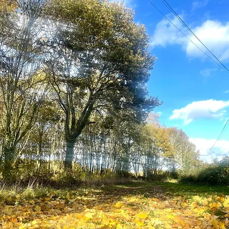 منزل للإقامة La Maison Sycomorette *