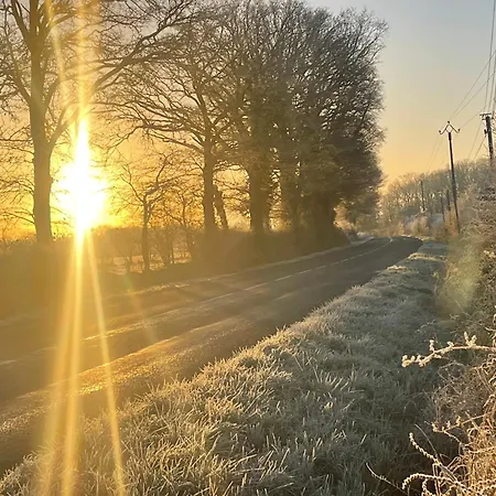 La Maison Sycomorette *