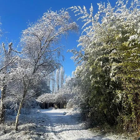 La Maison Sycomorette