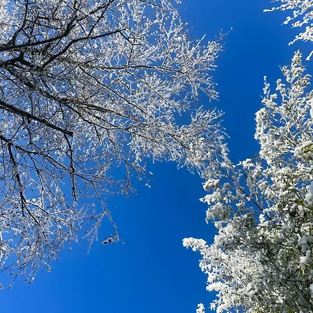 منزل للإقامة La Maison Sycomorette Courcival