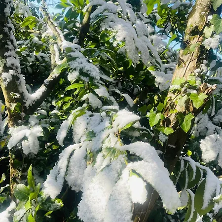 منزل للإقامة La Maison Sycomorette *