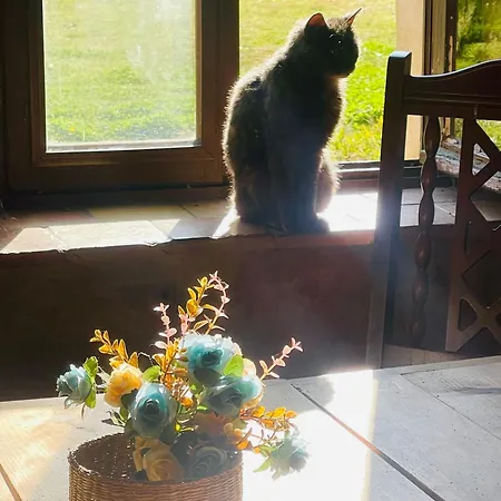 La Maison Sycomorette منزل للإقامة