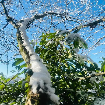 منزل للإقامة La Maison Sycomorette *