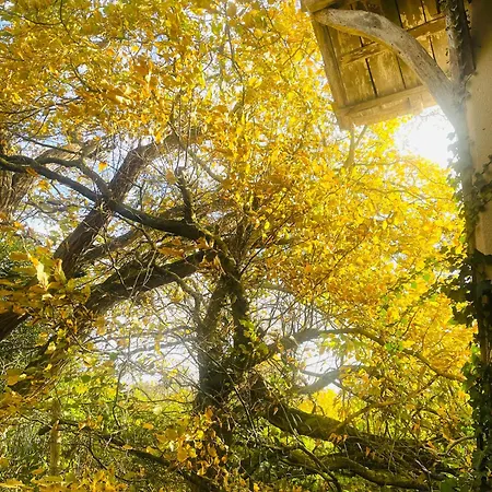 منزل للإقامة La Maison Sycomorette