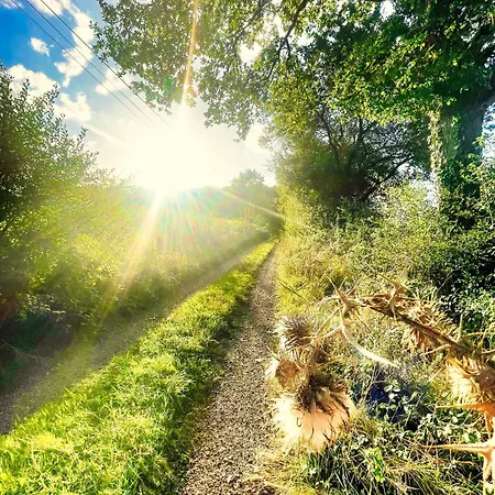 La Maison Sycomorette منزل للإقامة Courcival