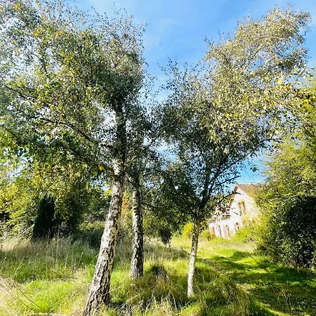 בית אירוח La Maison Sycomorette Courcival