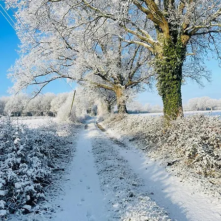 منزل للإقامة La Maison Sycomorette *