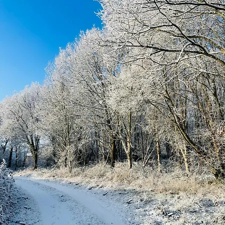 La Maison Sycomorette * Courcival