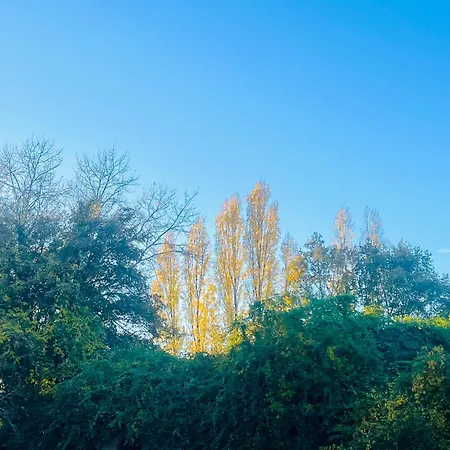 La Maison Sycomorette منزل للإقامة