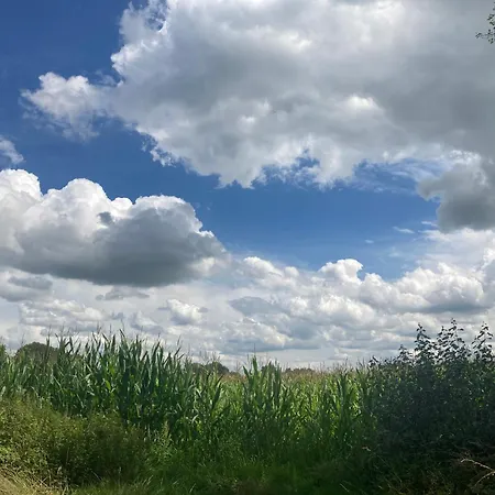 منزل للإقامة La Maison Sycomorette *