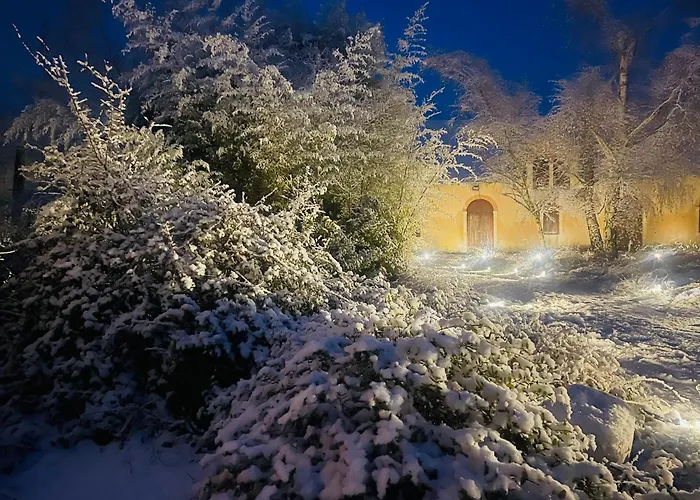 La Maison Sycomorette 홈스테이