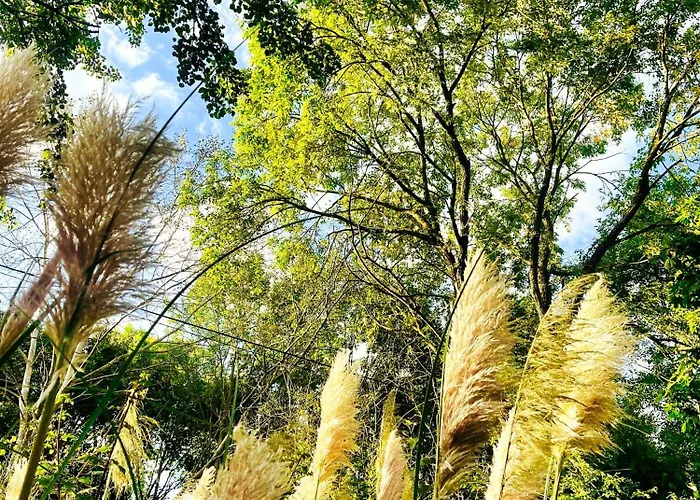 La Maison Sycomorette 홈스테이