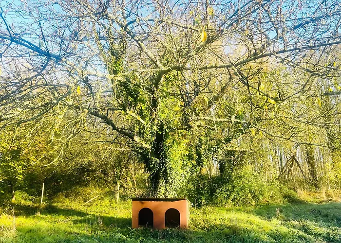 La Maison Sycomorette 홈스테이 *