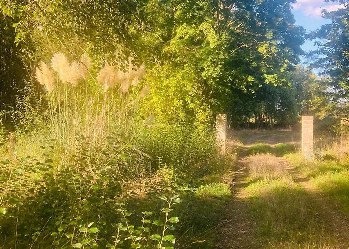 La Maison Sycomorette