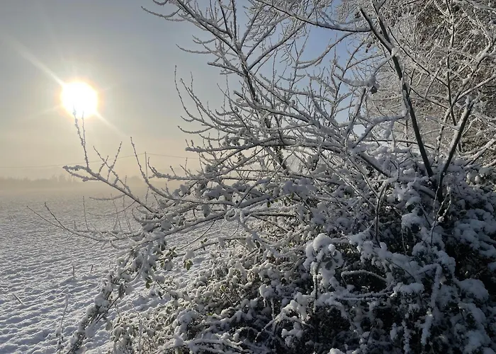 La Maison Sycomorette 홈스테이 Courcival