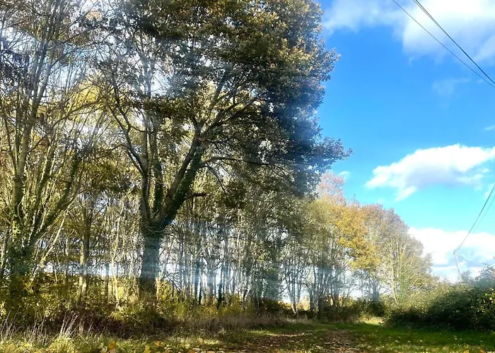 홈스테이 La Maison Sycomorette *