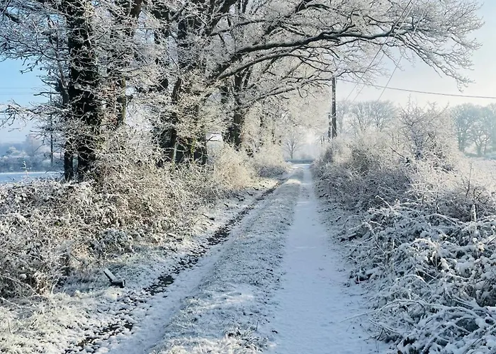 홈스테이 La Maison Sycomorette Courcival