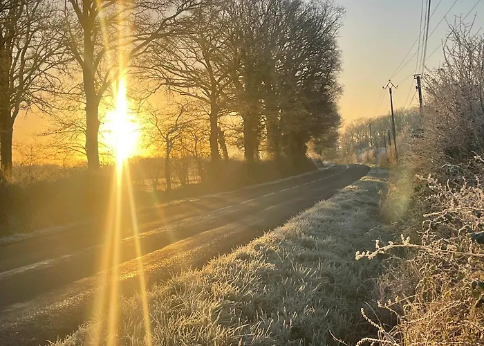 La Maison Sycomorette *