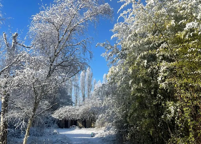 La Maison Sycomorette