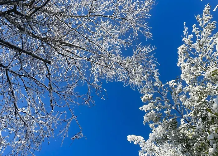 홈스테이 La Maison Sycomorette Courcival