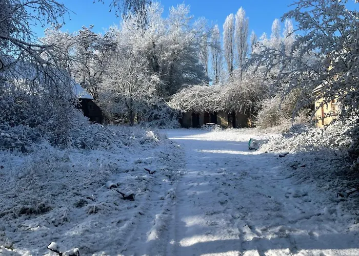 홈스테이 La Maison Sycomorette