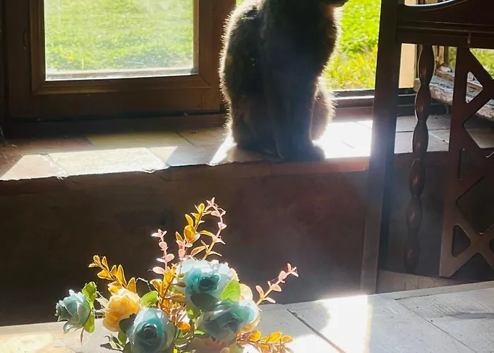 La Maison Sycomorette 홈스테이