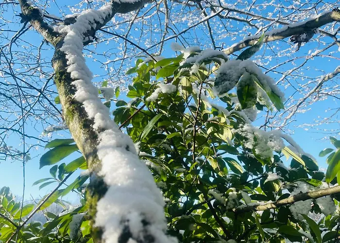 홈스테이 La Maison Sycomorette *