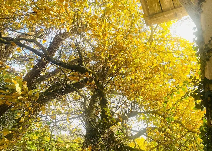 홈스테이 La Maison Sycomorette