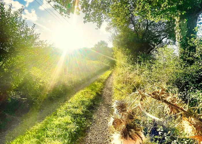 La Maison Sycomorette 홈스테이 Courcival