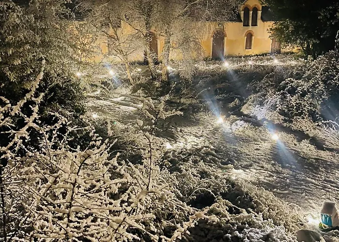 홈스테이 La Maison Sycomorette *