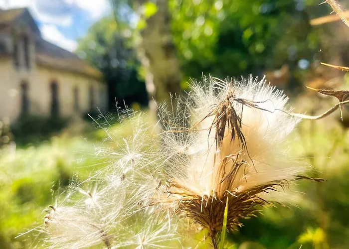 La Maison Sycomorette * Courcival