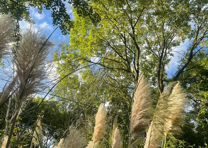 La Maison Sycomorette Courcival