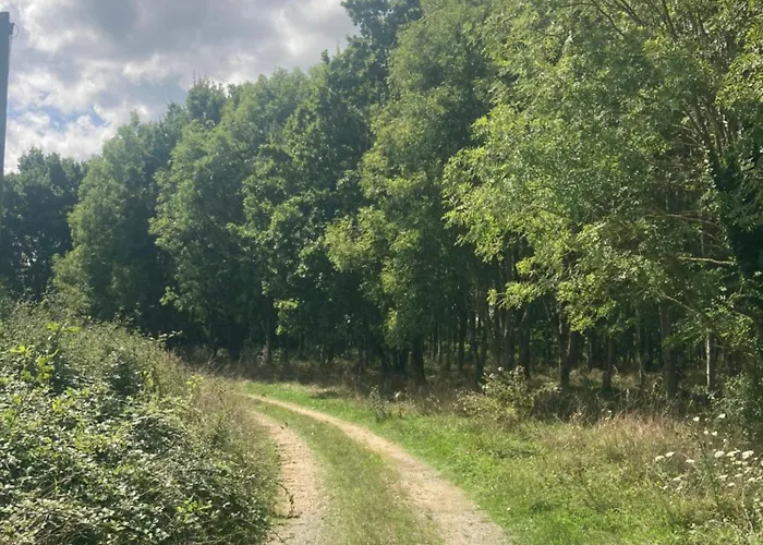 La Maison Sycomorette Courcival