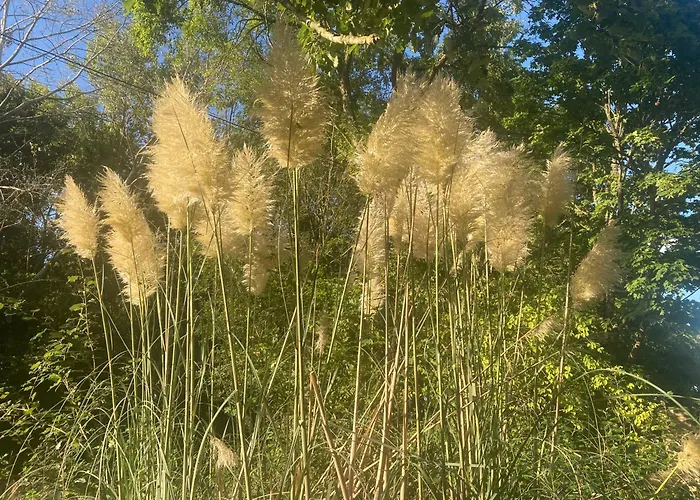 홈스테이 La Maison Sycomorette Courcival