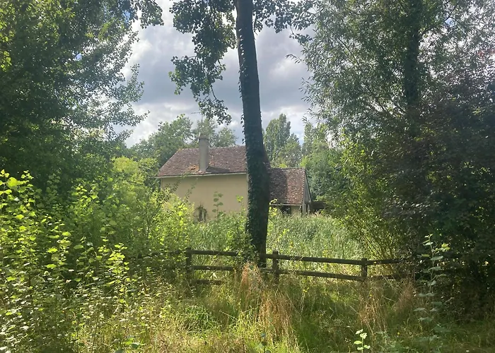 La Maison Sycomorette 홈스테이 *