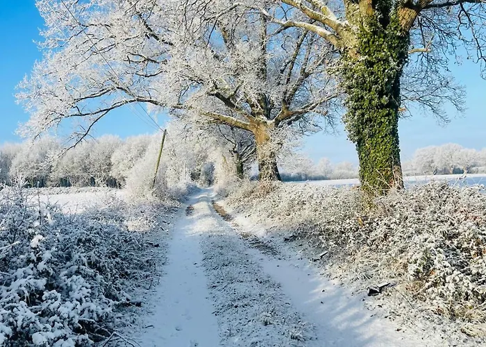 홈스테이 La Maison Sycomorette *