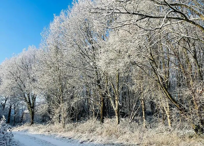 La Maison Sycomorette * Courcival