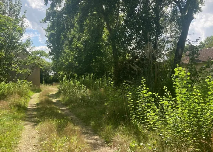 La Maison Sycomorette 홈스테이 *