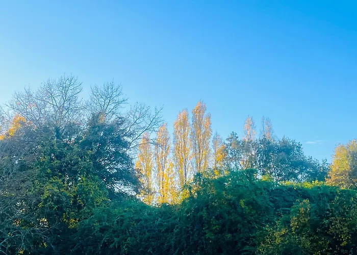 La Maison Sycomorette 홈스테이