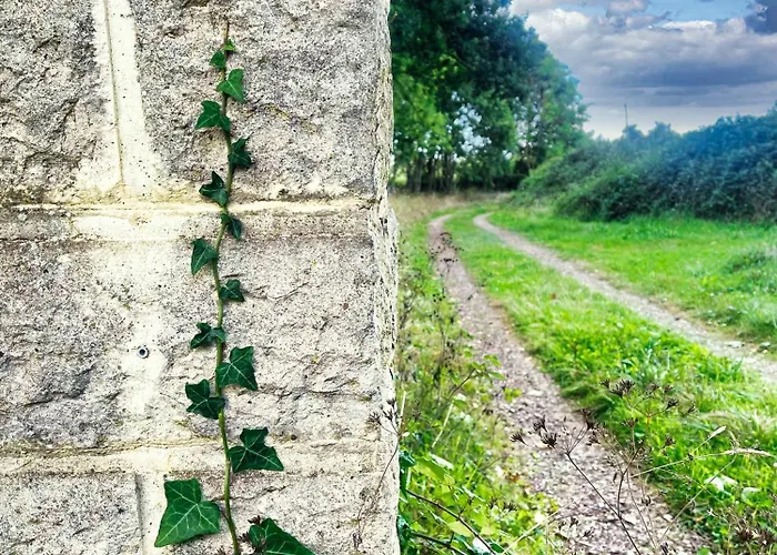 홈스테이 La Maison Sycomorette