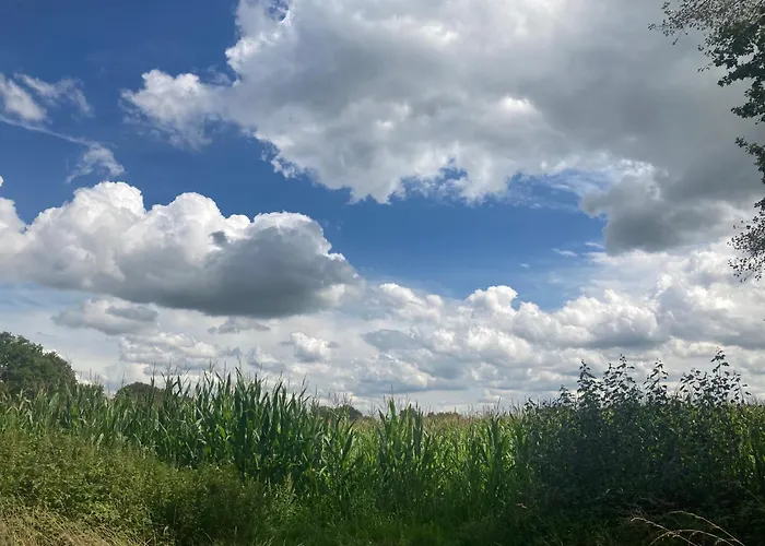 홈스테이 La Maison Sycomorette *